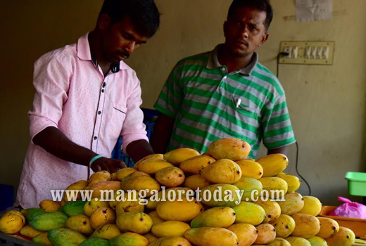 Fruit exhibition inaugurated at Pilikula 1